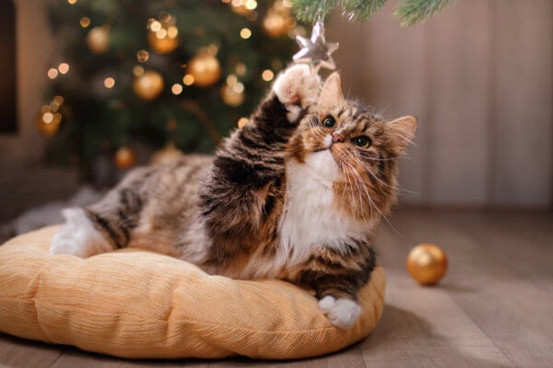Новогодние Игрушки Кошки Новогодние Игрушки Кошки