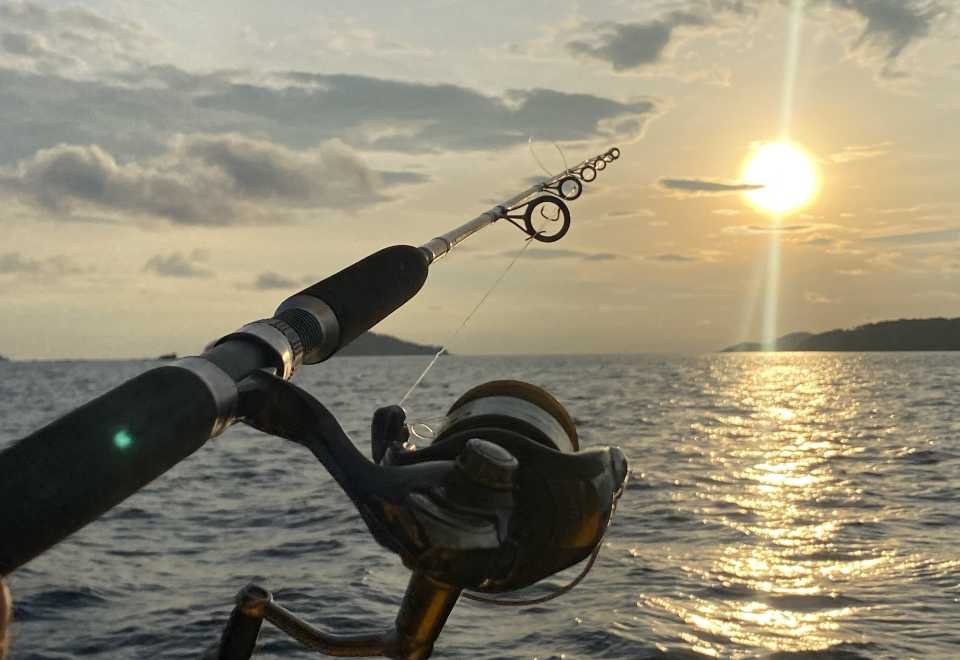 Фукуок: где искать рыбу на морской рыбалке - островки, банки или переходы, и как выбрать маршрут по ветру и течению без лишних кругов